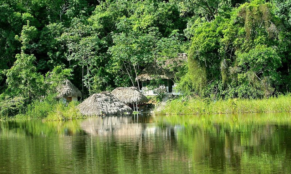 Maya Biosphere Reserve, Petén Department, Guatemala